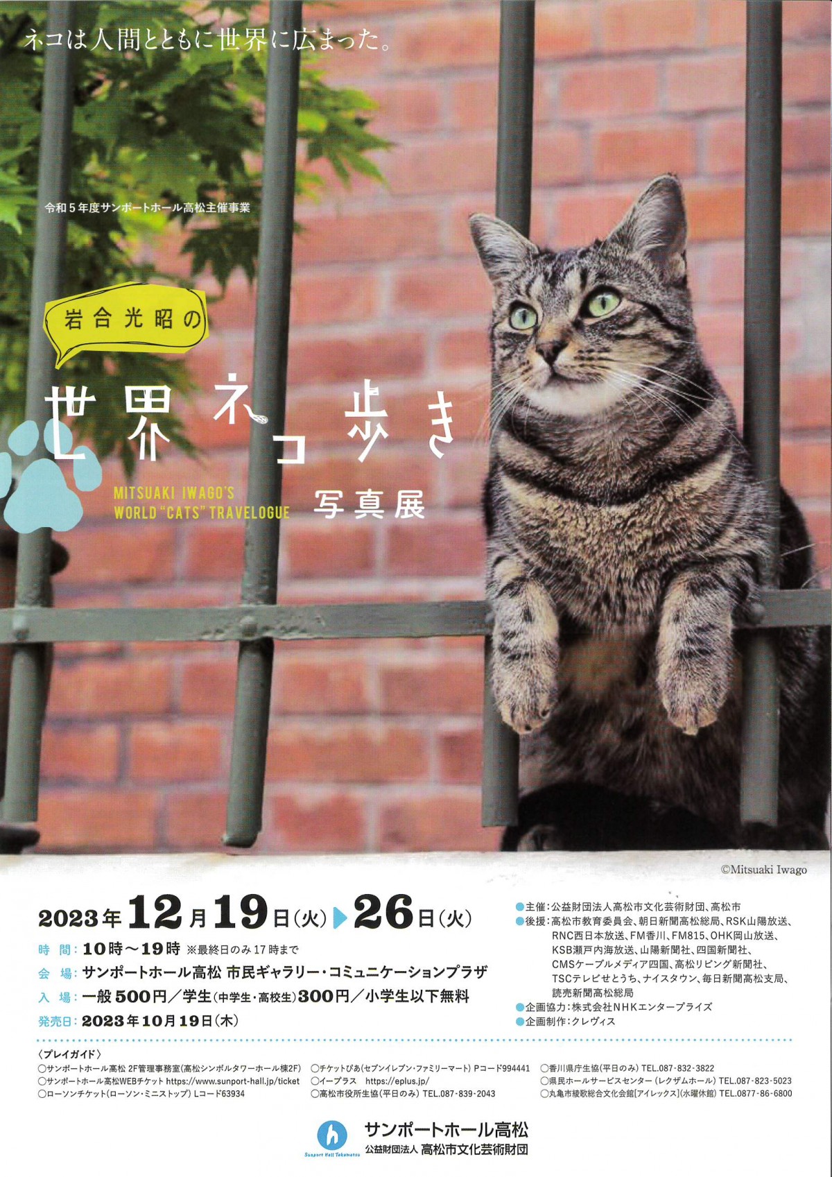 岩合光昭の世界ネコ歩き写真展